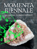 Quand la nature ressent